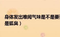 身体发出难闻气味是不是要死了（身体发出难闻气味原因不是狐臭）