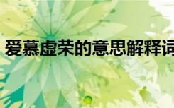 爱慕虚荣的意思解释词语（爱慕虚荣的意思）