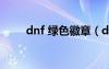 dnf 绿色徽章（dnf绿色徽章部位）