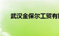 武汉金保尔工贸有限公司（武汉金保）