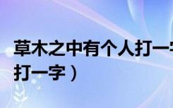 草木之中有个人打一字谜语（草木之中有个人打一字）