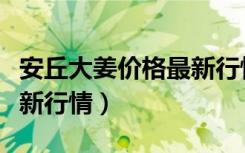 安丘大姜价格最新行情分析（安丘大姜价格最新行情）