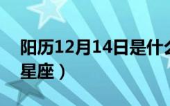 阳历12月14日是什么星座（2月14日是什么星座）