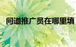 问道推广员在哪里填（问道海外版推广员）