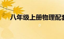 八年级上册物理配套练习册答案人教版