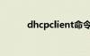 dhcpclient命令（dhcpclient）