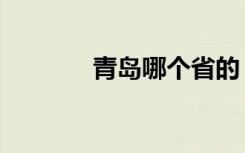 青岛哪个省的（青岛哪个省）