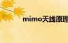 mimo天线原理（mimo天线）