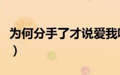 为何分手了才说爱我呢（为何分手了才说爱我）