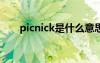 picnick是什么意思（nick什么意思）