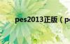 pes2013正版（pes2013中文解说）