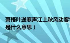 萧梧叶送寒声江上秋风动客情是什么意思（江上秋风动客情是什么意思）