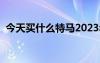 今天买什么特马2023年（今天买什么特马）