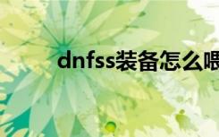 dnfss装备怎么喂养（dnfss装备）