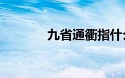 九省通衢指什么（九省通衢）