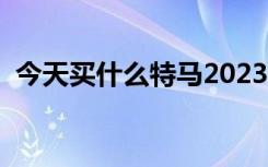 今天买什么特马2023年（今天买什么特马）