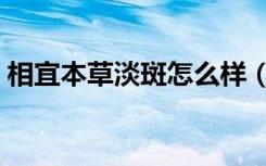 相宜本草淡斑怎么样（相宜本草祛斑怎么样）