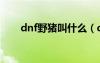 dnf野猪叫什么（dnf野猪是什么图）