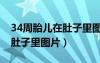 34周胎儿在肚子里图片真实的（34周胎儿在肚子里图片）