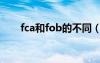 fca和fob的不同（fca和fob的区别）