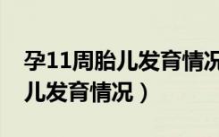 孕11周胎儿发育情况图片会动吗（孕11周胎儿发育情况）