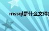 mssql是什么文件夹（mssql是什么）