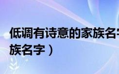 低调有诗意的家族名字大全（低调有诗意的家族名字）