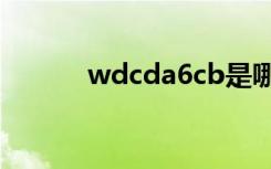 wdcda6cb是哪款车型（wdc）