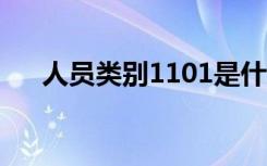 人员类别1101是什么意思（人员类别）