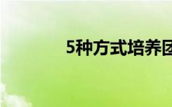 5种方式培养团队的感恩氛围