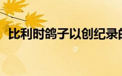 比利时鸽子以创纪录的125万欧元拍卖高涨